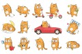 5c4369c6c0ac83cc2b7e90ca0fe49443