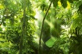 5c9f921426e3ded66122a4ad7597f6ad