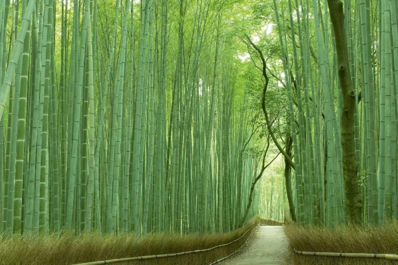57e7e570161068ba4d5c628fb4a385d6