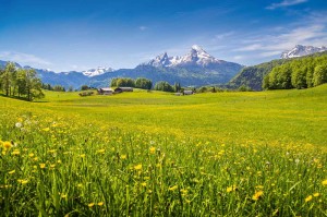 Fototapeta na flizelinie MS-5-1714 Idylliczny widok na Alpy 375 x 250 cm