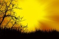 9c1894847c40b8474d46ef60f81ed5bc
