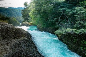 Fototapeta na flizelinie MS-5-1878 Fui River, Chile 375 x 250 cm