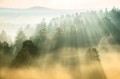 4a6a5395542fc0d6fc2d953abbc80532