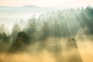 Fototapeta na flizelinie MS-5-1886 Sunbeams 375 x 250 cm