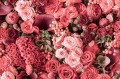 8fd63956fe294a20dc61ef0e068a909e