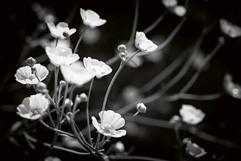 1b0598998f2f83fad33509d3b246fa0d