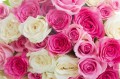 4bffeee3f88a3f9581a8cf8e0b8512a6
