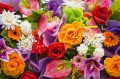 7909b0025decdfce8eb82d1b7e48a5bc