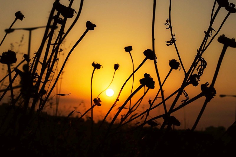 5d7b776cdd36eb2409768b175de28e8e