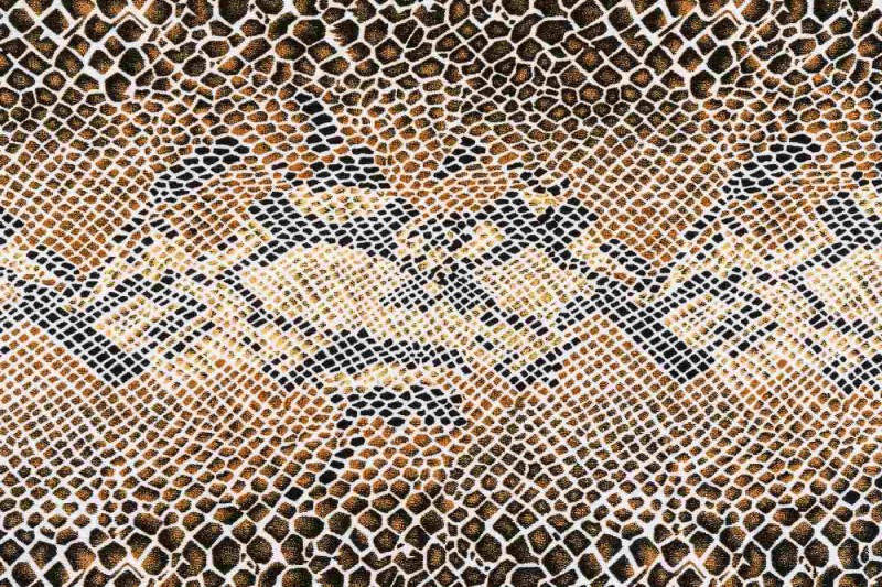 Fototapeta na flizelinie MS-5-2580 Skóra węża 375 x 250 cm