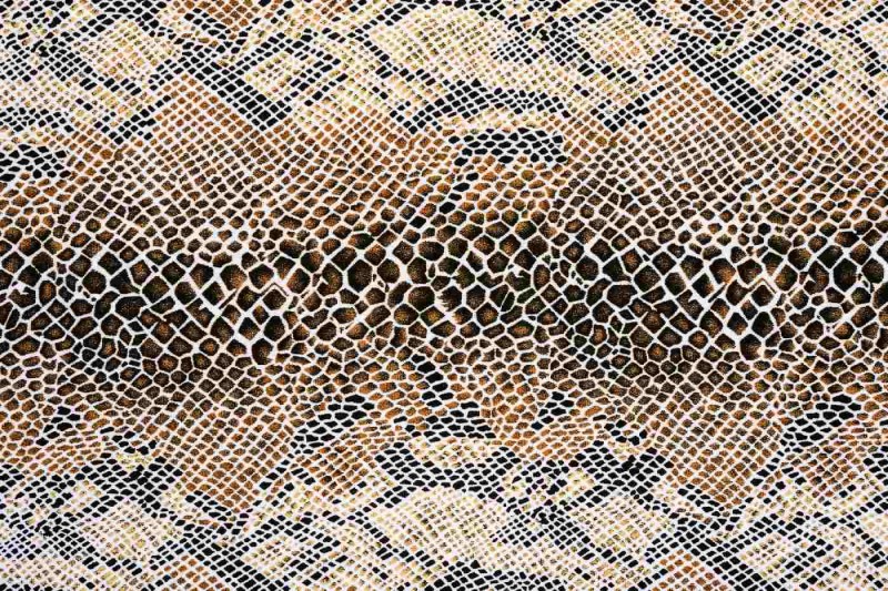 Fototapeta na flizelinie MS-5-2584 faktura węża 375 x 250 cm