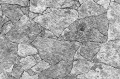 Fototapeta na flizelinie MS-5-2635 Tekstura szarego kamienia 375 x 250 cm