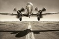 Fototapeta na flizelinie MS-5-2848 Takeoff 375 x 250 cm