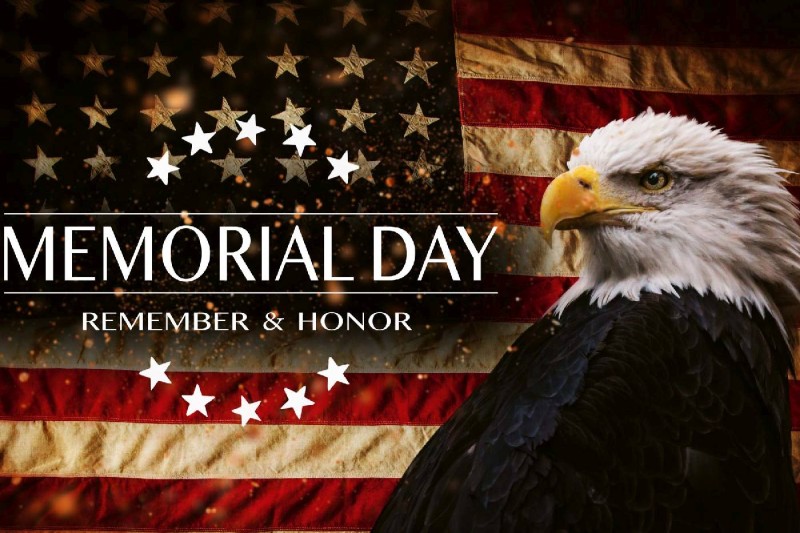 Fototapeta na flizelinie MS-5-2959 Memorial Day USA 375 x 250 cm