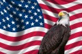 Fototapeta na flizelinie MS-5-2960 Patriotyczna flaga USA 375 x 250 cm