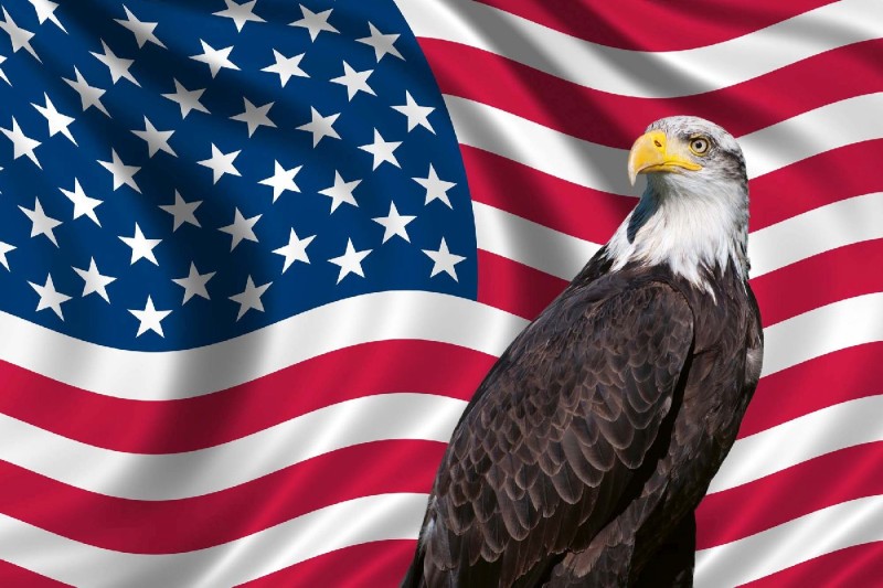 Fototapeta na flizelinie MS-5-2960 Patriotyczna flaga USA 375 x 250 cm