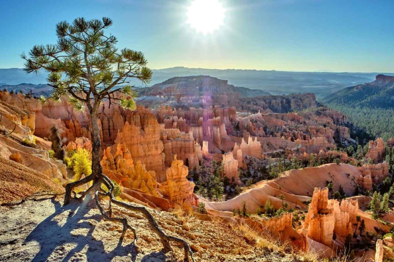 Fototapeta na flizelinie MS-5-3017 Bryce Canyon National Park 375 x 250 cm