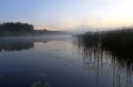 Fototapeta na flizelinie MS-5-3053 Snake River w Wyoming 375 x 250 cm