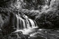 Fototapeta na flizelinie MS-5-3169 Purakaunui Cascades 375 x 250 cm