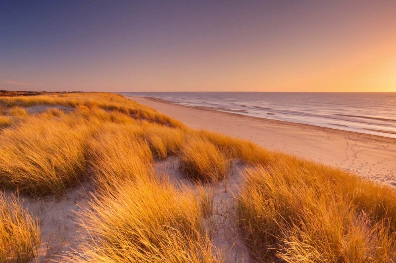 Fototapeta na flizelinie MS-5-3209 High Dunes 375 x 250 cm