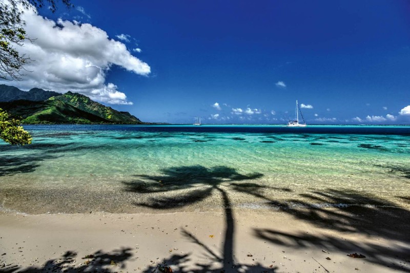 Fototapeta na flizelinie MS-5-3221 Moorea Beach 375 x 250 cm