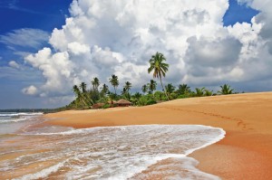 Fototapeta na flizelinie MS-5-3227 Dzika plaża Sri Lanki 375 x 250 cm