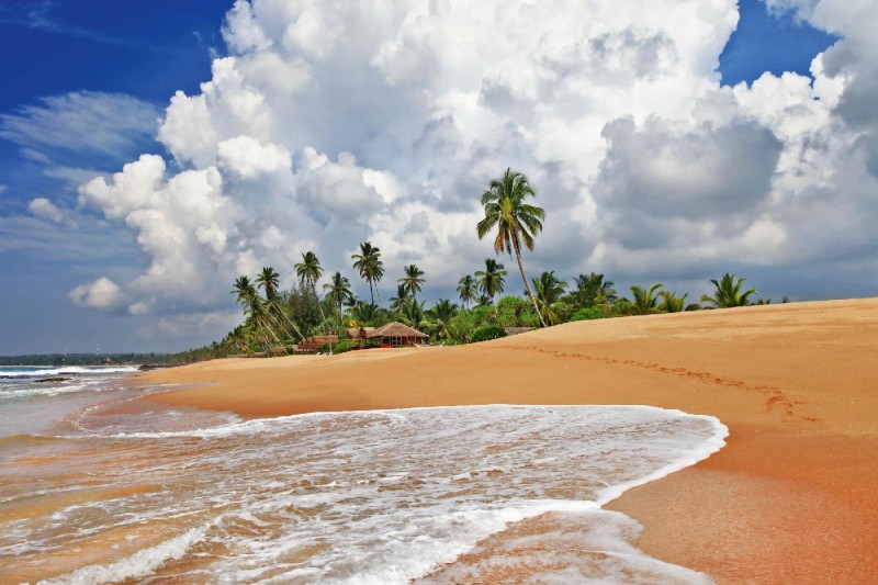 Fototapeta na flizelinie MS-5-3227 Dzika plaża Sri Lanki 375 x 250 cm