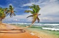 Fototapeta na flizelinie MS-5-3228 Piękna rozległa plaża 375 x 250 cm