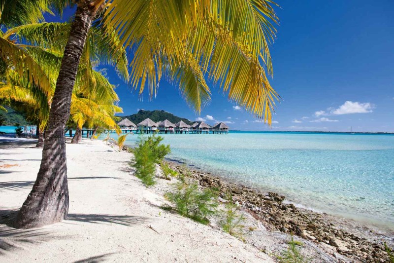 Fototapeta na flizelinie MS-5-3243 Plaża na Bora Bora 375 x 250 cm