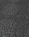 Tapeta 10529-15 Cameo
