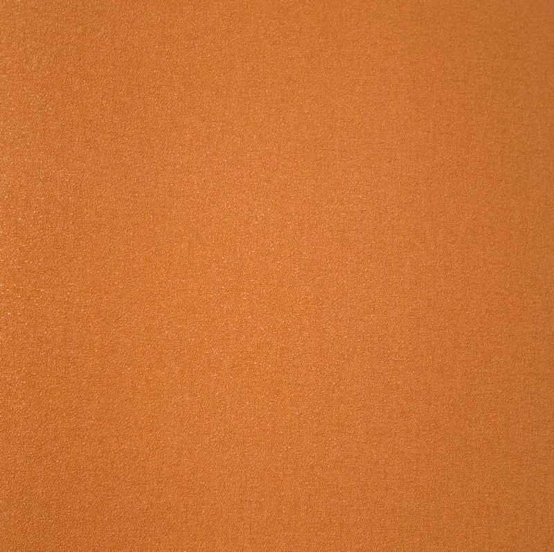 20250829_181208.jpg