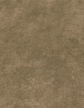 50007-11_zoom.jpg