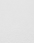 TAPETA 11032-01 RollOver27