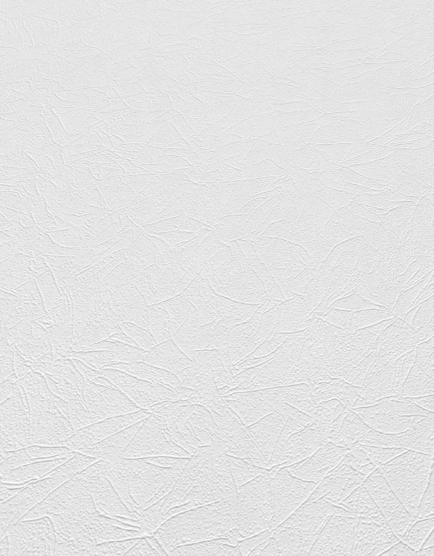 TAPETA 11033-01 RollOver27