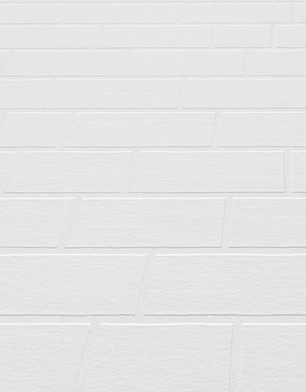 TAPETA 11038-10 RollOver27