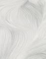 Tapeta 12250-31 Fashion for walls 5 by Guido Maria Kretschmer
