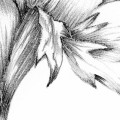 csm_XXL2-1035_Embroidery_A4_1b360cd605.jpg