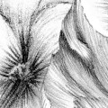 csm_XXL2-1035_Embroidery_A1_74951ee112.jpg