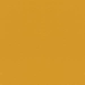 Tapeta 687552 Allegretto / Tropicasl House