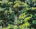 TAPETA 79187-7 Pint Walls 3