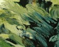 TAPETA 79187-7 Pint Walls 3