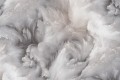 Tapeta 1635-10 Le Grand Platinum
