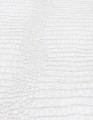 TAPETA 10560-10 FOREST DREAMS