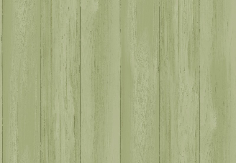 TAPETA 4475 MOMI - WOODY