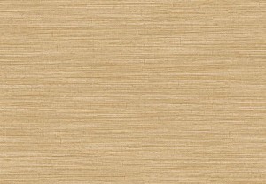 TAPETA 5893 JAIPUR - JAKHAADI