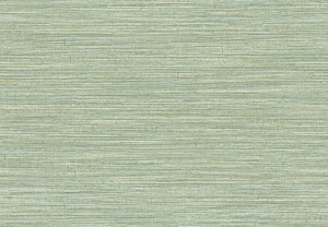 TAPETA 5896 JAIPUR - JAKHAADI