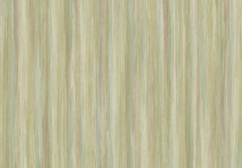 TAPETA 5855 JAIPUR - JATEER