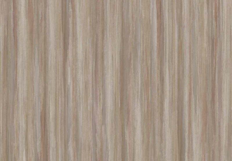 TAPETA 5859 JAIPUR - JATEER