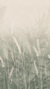 MURAL Panel  360134 Wall Stories