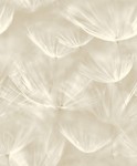 TAPETA 210901 Grandeco  Dmuchawce